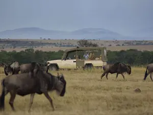 Fairmont Mara Safari Club